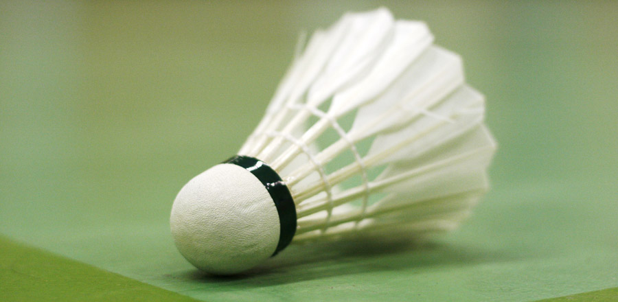 Badminton Federball